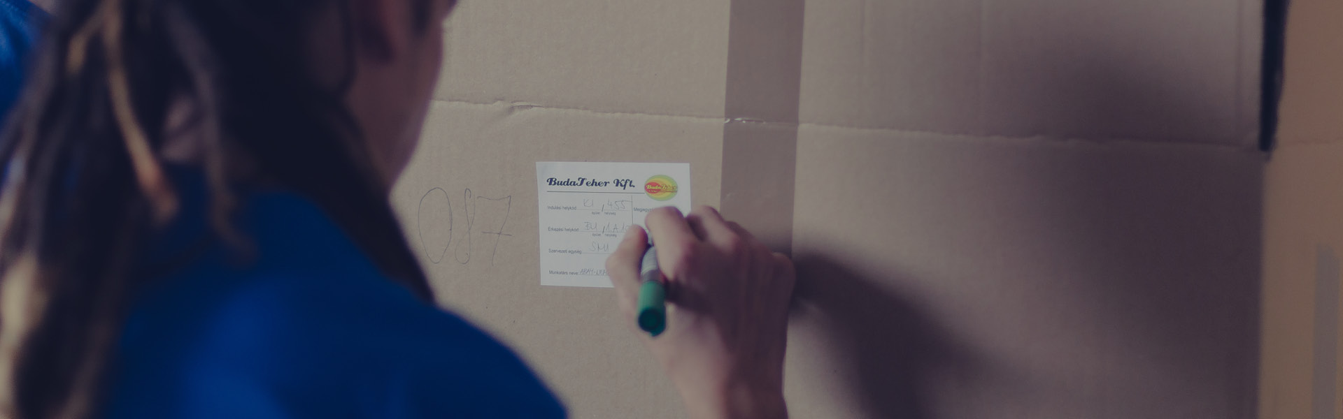 állláslehetőség, költöztetés, áruszállítás